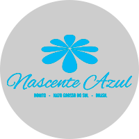 Logo Nascente Azul