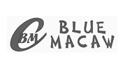 Confecções Blue Macaw